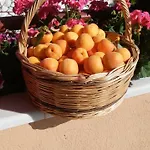 Rania Apartament *