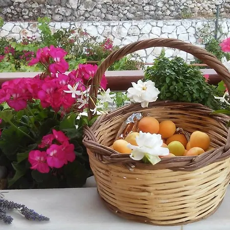 Rania Хелмата